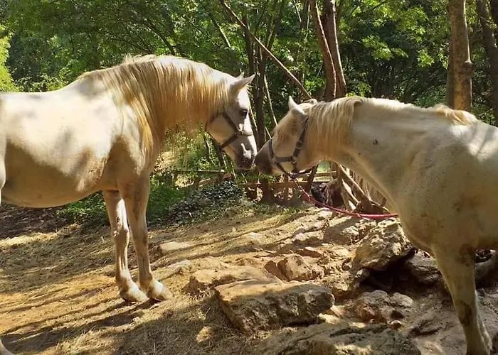 House Lida Apartment